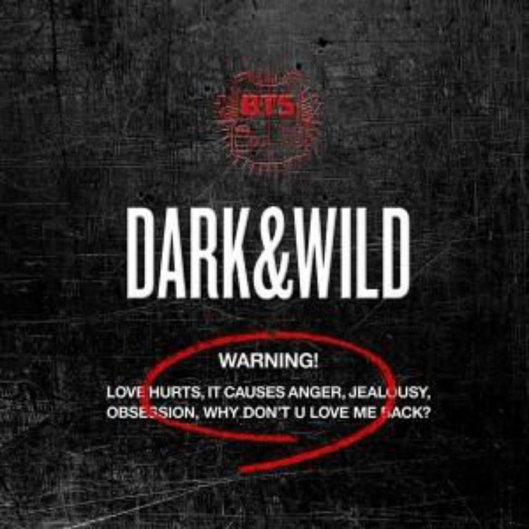 Picture of [BTS]1st Album - DARK & WILD